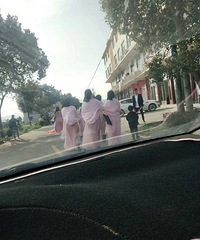 �ֿ�ż�������� ����һ�����������