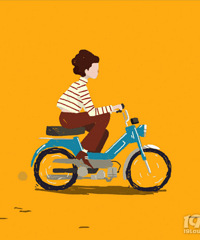 ������ѡ����25�����ѡʲô�������ʣ�