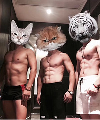 �µ������Ƕ���