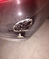 ���£�������Ӳ�ˣ�