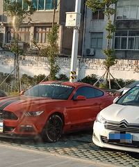 ���������ġ����������������ʲô��˼��