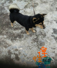 ʮ���µܻܵ����