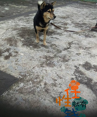 ʮ���µܻܵ����