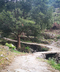 探秋凉溪古道,秋访丫髻岩!