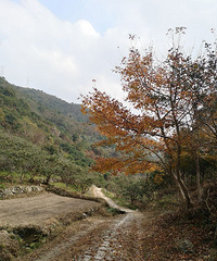 探秋凉溪古道,秋访丫髻岩!
