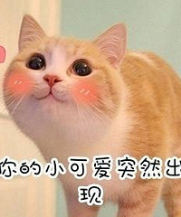 93������˽���ϰ�����10w�����Ǻܽ��⳵��