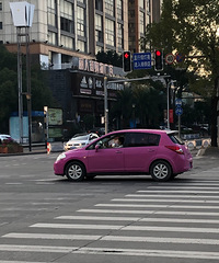 ���������ġ�õ��ɫС�����ǵ�һ�μ���