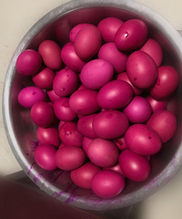 �ٺ������� ����