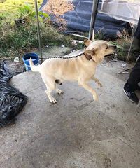 ��������Ȯ