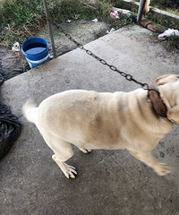 ��������Ȯ