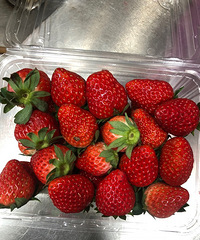 ��ݮ԰�Ҳȹ����ˣ����ҽ��ܶ����Ҹ���ѷ�