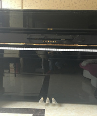 �ձ�ԭװ����YAMAHA��KAWAI���ָ�����������