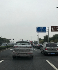 ����һ��αװ���Գ�����ҿ�������ʲô����