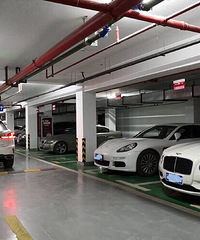 ��С�����������Կ������������������ĺúܶࣿ