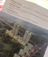 ���С��ֻ������¥�� �²����Ķ�