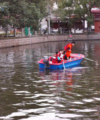 ����1Ԫ������Ҫ�����ݡ�ʧ�����к�ĸ�ף�