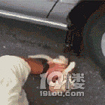 跑来个调皮的猫咪,这车可能修不好了