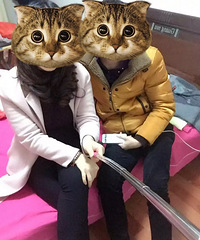 ��������һֱ���ҵ�1��75���ϵ��к���