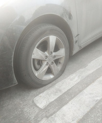 Ϊʲô��̥��©��