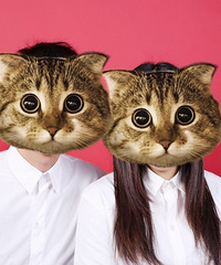 ��������֤��17.2.14