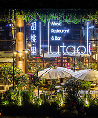 �������ѵ��ɶԡ���Լ���־ưɣ�������Ҫ�������