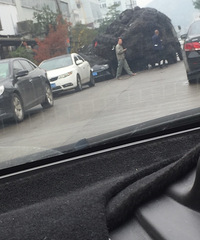 ���������ġ����ں��޹�