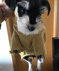 �ҵ�ѩ������·�� ��æ���һؼҵ�·