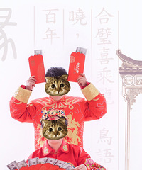 ٯٯ���� 6000Ԫ