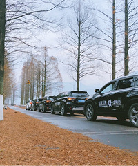 �����ﳵ������ɭ����Ȫһ����