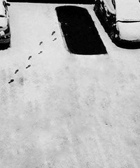 ѩ��......��������