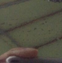 ����4S��������м���ɳ����������