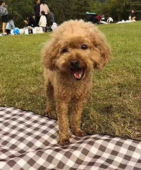 ���� ��԰С����԰��лһ��ԪѰ�Ұ���̩��