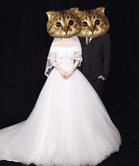 ���˾��꣬������30����Լ����ˡ�2018ϲ���Ž���ռǡ�