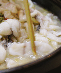 ��������ˬ��������Ҳ�ǰ�������