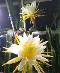 ������.....�������ⲻ...