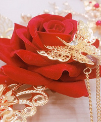 Ŀɴá׼ֲ || ҡҷŵйϲ!