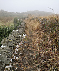 兰田的山、水、大草甸 主要景点都在这