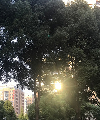 2018ܽ᡿Ҫǰ˺˴С棬±СЬ