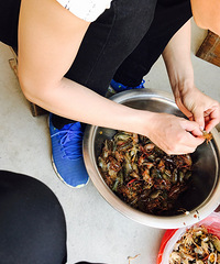 2018ܽ᡿һо˲ٵĺڰ