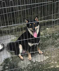 �����ձ���Ʒ��Ȯ