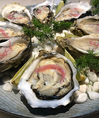 ��������ҹ���� һ����ʽһ����ʽ ��ֱ������