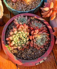 ���ʱ�ڵĶ���