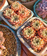 ���ʱ�ڵĶ���