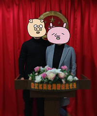 1919ȥ��֤ ���챾����Ż�������