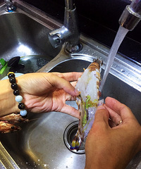 �Ҽ����ŵ����Ӳ������༯�� ����Ҳο�