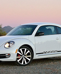 10��������أ��ʺ���������ʻ��С������Щ��