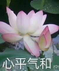 ������ʮ������ƫԶ����ҵס�� �����ܹ���4��/��