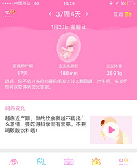 期待,37周4天