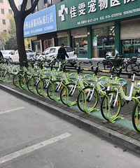 路桥公共自行车新车上桩了