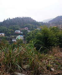 ���˽��ڻ�ëɽ����